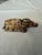 1960s Chinese Soapstone Water Buffalos For Sale - Image 5 of 7