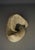 Unknown, Cast Concrete Abstract Garden Sculpture. 1970s, Concrete For Sale - Image 6 of 18