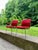 Set of Midcentury Modern Armchairs by Albert Stoll for Giroflex, 1970s For Sale - Image 14 of 18