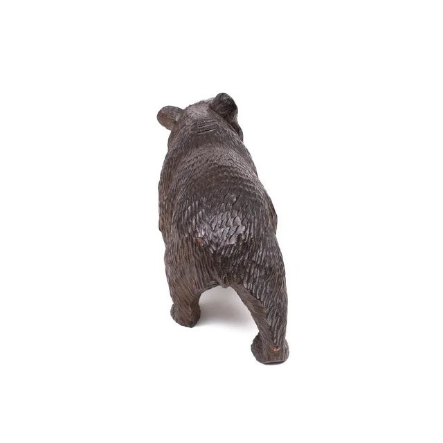 Brown Black Forest Glass Eye Bear, Germany, 1920s For Sale - Image 8 of 9