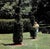 "First Garden" 1987 Guest, c.z. For Sale - Image 10 of 12