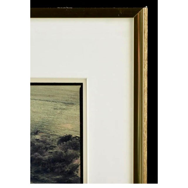 American Terry Evans, Vintage Color Abstract Art Landscape Photography Large C Print Photo Terry Evans, 1990 For Sale - Image 3 of 11