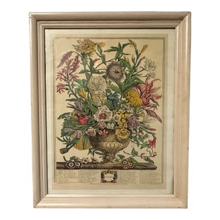 1920s Antique Robert Furber 12 Months of Flowers September Framed Botanical Art Print For Sale