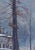 Realism 1986 Winter Landscape Oil Painting, Soviet Ukrainian Art 59-40 For Sale - Image 3 of 6