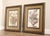 Traditional Windsor Art Pair of Decorative Framed Floral Prints For Sale - Image 3 of 12