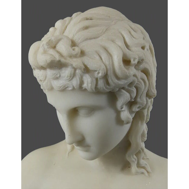 19th Century Italian Grand Tour Carrara Marble Bust of Eros of Centocelle For Sale - Image 5 of 6