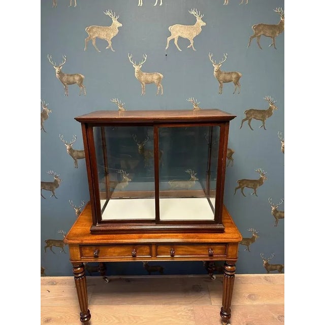 Vintage Display Cabinet in Mahogany For Sale - Image 6 of 6