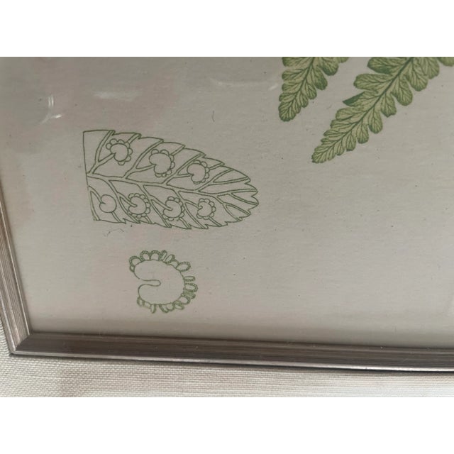 Light Green Vintage Henry Bradbury Fern Print, Framed For Sale - Image 8 of 11