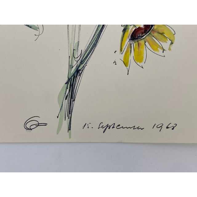 Hans Ott, Sunflower, 1968, Ink and Watercolor Drawing For Sale - Image 4 of 7