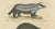 Brodtmann, Raccoon, Honey Badger & Wolverine, Lithograph, 1816 For Sale - Image 4 of 10
