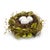 Rustic Natural Twig Bird Nest with Speckled Egg Accent (Set of 4) For Sale - Image 3 of 4