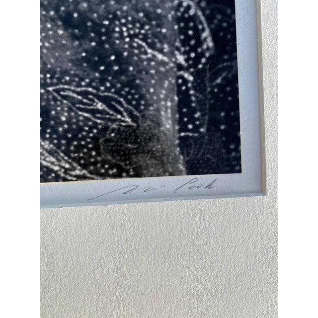 Printmaking Materials Legendary Jazz Musician Charles Brown, 1993 — Original Photographic Portrait by Listed Artist Mariana Cook, Protege of Ansel Adams For Sale - Image 7 of 10