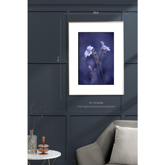 Not Yet Made - Made To Order Paul Cooklin, Woodruff, Gallium Odoratum, Edition of 50 For Sale - Image 5 of 7