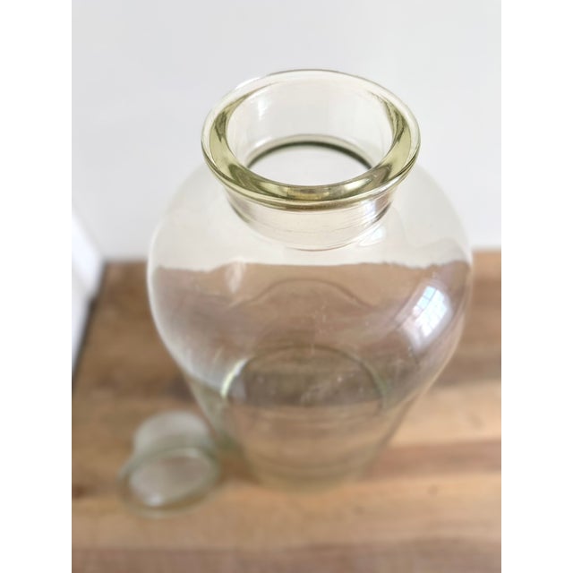 French Laboratory Glass Storage Jar with Fitted Glass Stopper, 1920s For Sale - Image 6 of 16