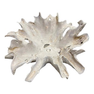 Flores Bleached Teak Root Table Base Organic Sculptural Coffee Table For Sale