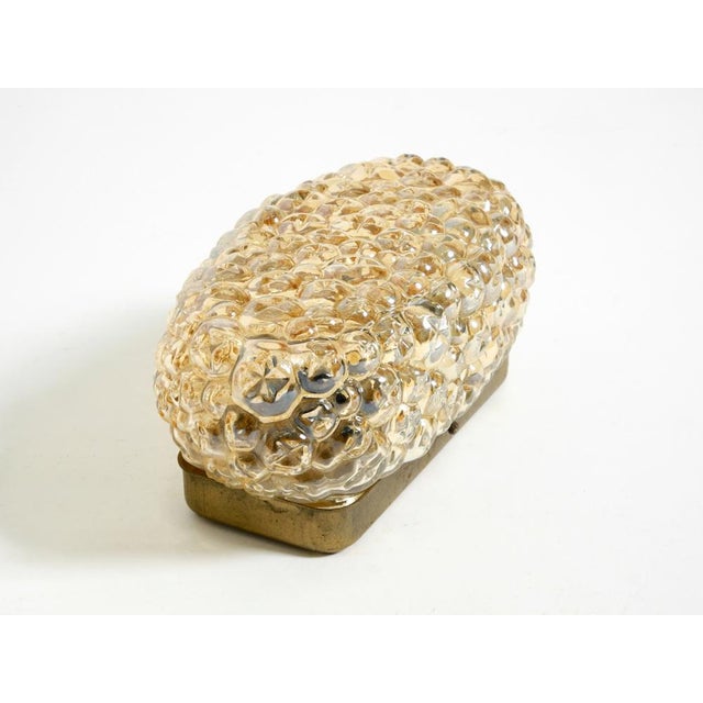 Gold Mid-Century Modern Glass Bubble Wall Lamp, 1960s For Sale - Image 8 of 13