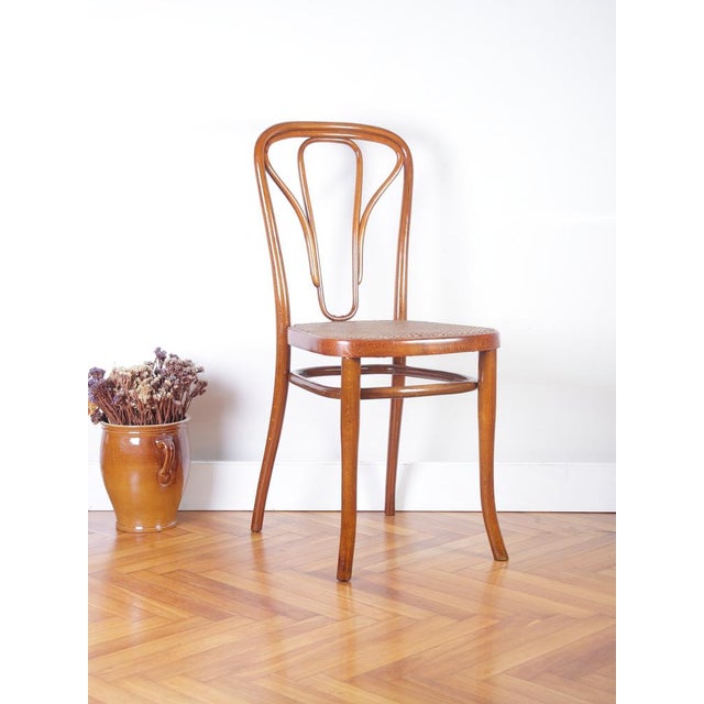 Rare piece. Beautiful look. Cleaned and french re-polished. Original cane has a small damage at front but still holds...