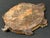Chinese Art Carved Tiger Eye Stone Turtle Sculpture on Wooden Display Stand For Sale - Image 11 of 11