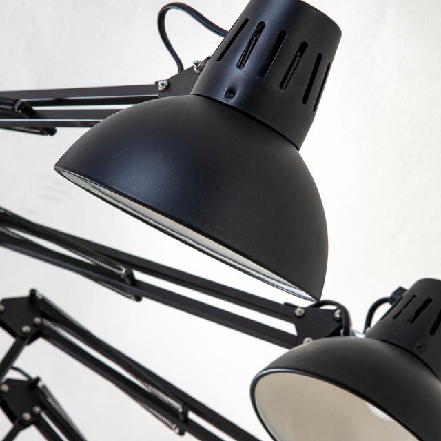 Mod. Dear Ingo Chandelier by Ron Gilad for Moooi, 2005 For Sale - Image 9 of 11