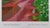 Through the Forest Poster after David Hockney For Sale - Image 4 of 6