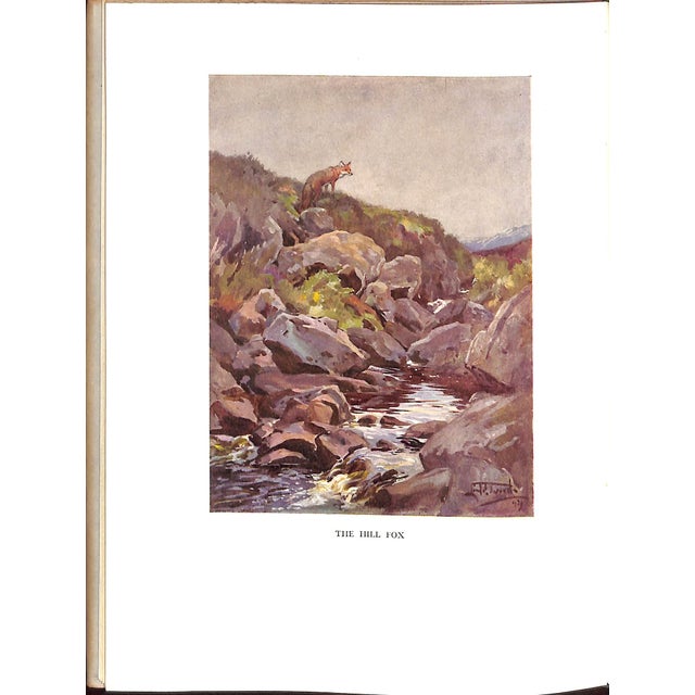 "The Fox" 1949 Edwards, Lionel For Sale In New York - Image 6 of 8