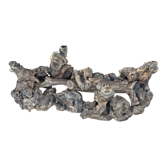 1960s Sculptural Burl Wood Root Coffee Table With Curved Glass Top For Sale - Image 10 of 10
