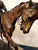 Late 19th Century Bronze Statue by Pierre Jules Mene "After the Race" For Sale - Image 6 of 10