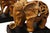 Late 20th Century Hand Carved Resin Elephant Bookends, a Pair For Sale - Image 5 of 8