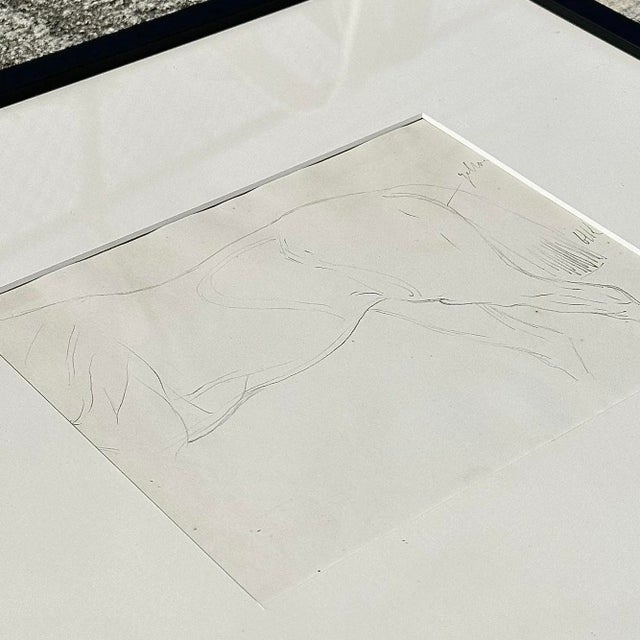 Paper Vintage Framed Horse Body Sketch Drawing For Sale - Image 7 of 12