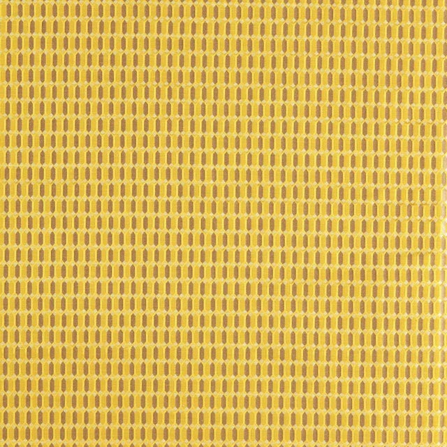 Zoffany Domino Trellis Fabric in Tigers eye For Sale