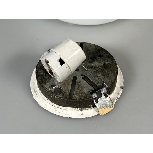 Mid-Century Ceiling Light in Frosted Glass from RZB, 1960s For Sale - Image 12 of 15