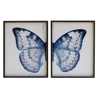 Split Blue and White Butterfly - 38" X 25" For Sale