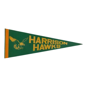 Harrison Hawks Felt Flag Pennant
