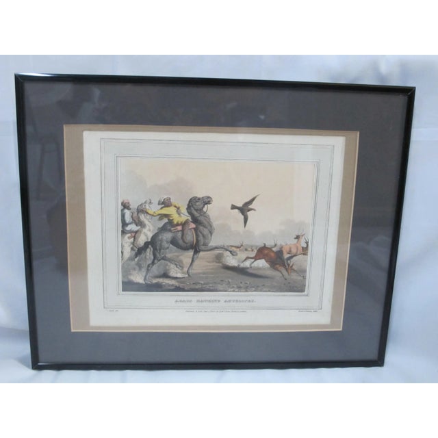 Gray E Orme Arabs Hawking Antelopes Hand Colored Etching 1813 For Sale - Image 8 of 8