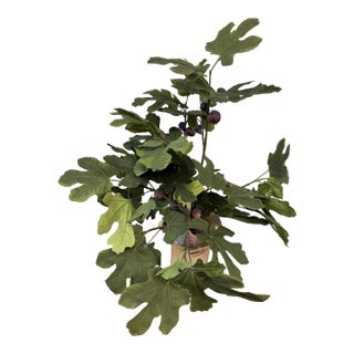Faux Fig Tree in Ceramic Pot For Sale