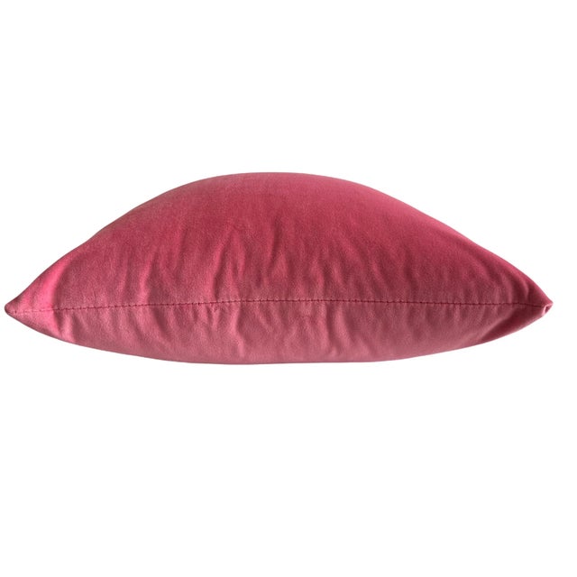 Contemporary Contemporary 16 X 16 Bubble Gum Pink Performance Fabric Pillow Cover by Christi Tasker Miami For Sale - Image 3 of 4