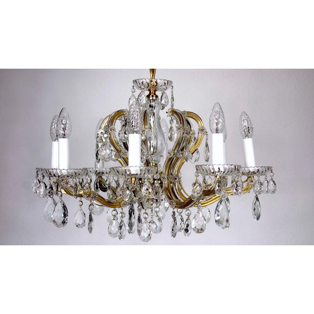 Crystal Maria Theresia Chandelier by Palme Walter for Palwa, 1960s For Sale - Image 12 of 12