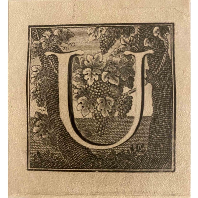 Letter of the Alphabet U, from the series "Antiquities of Herculaneum", is an etching on paper realized by Luigi...