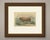 This antique cattle print portrays a golden red Limousin bull after J. Melin, engraved by A. Riffaut and printed by...