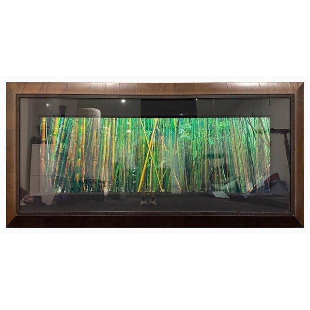 Peter Lik “Bamboo” | Limited Edition Fine Art Photograph | Signed & Numbered | Coa For Sale - Image 12 of 12