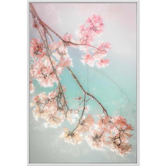 Not Yet Made - Made To Order On a CLoud, 75x50 Contemporary, FIne Art Photography by Kristin Hart For Sale - Image 5 of 7