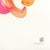 Contemporary Rainbowland Chrysanthemum - Original Botanical Chrysanthemum Floral Watercolor Painting For Sale - Image 3 of 7