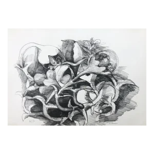 1970s Adrienne Anderson Botanical Lithograph