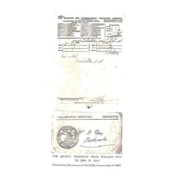 Paper "The Racehorse in Training" 1925 Day, William and Alfred J. For Sale - Image 7 of 10