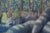 American Vintage Figurative Landscape -- Sleeping Among the Trees by Ken Bower For Sale - Image 3 of 4