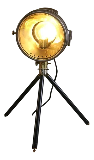 Vintage Renovated Floor Lamp from Besnard, Paris, 1910s