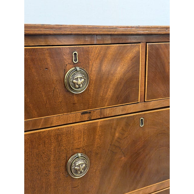 Wood 19th Century English Chest For Sale - Image 7 of 13