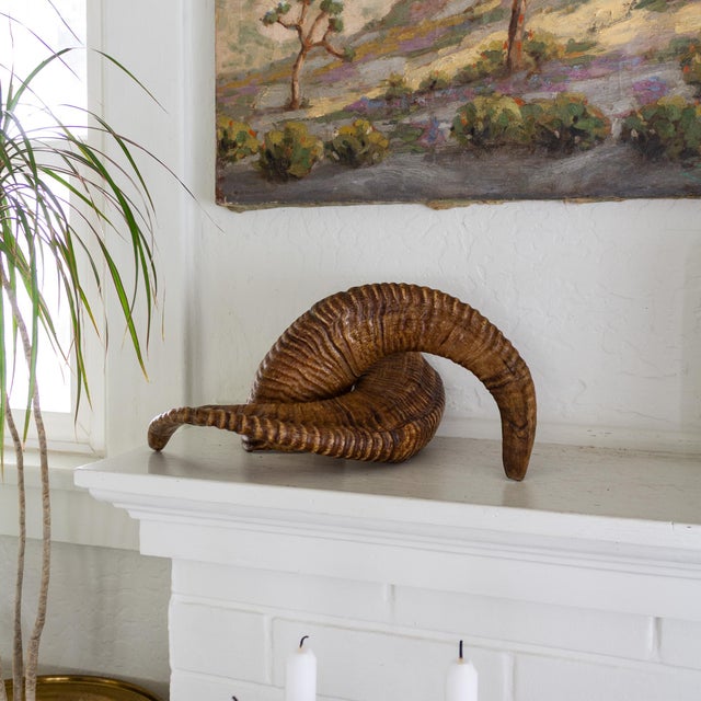 Cabin Pair of Natural Taxidermy Waxed Ram Horns For Sale - Image 3 of 10