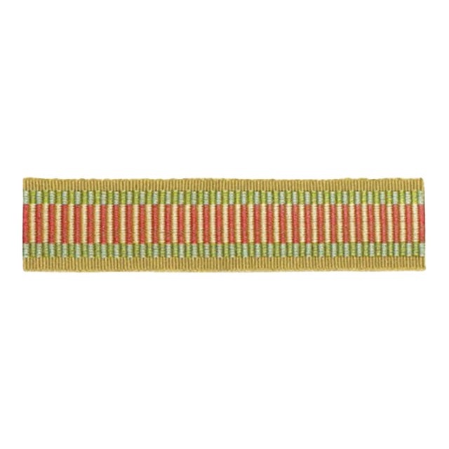 Sample - Schumacher Litchfield Braid in Bloom For Sale