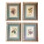 Set of Four Beautifully Framed Botanical Prints For Sale